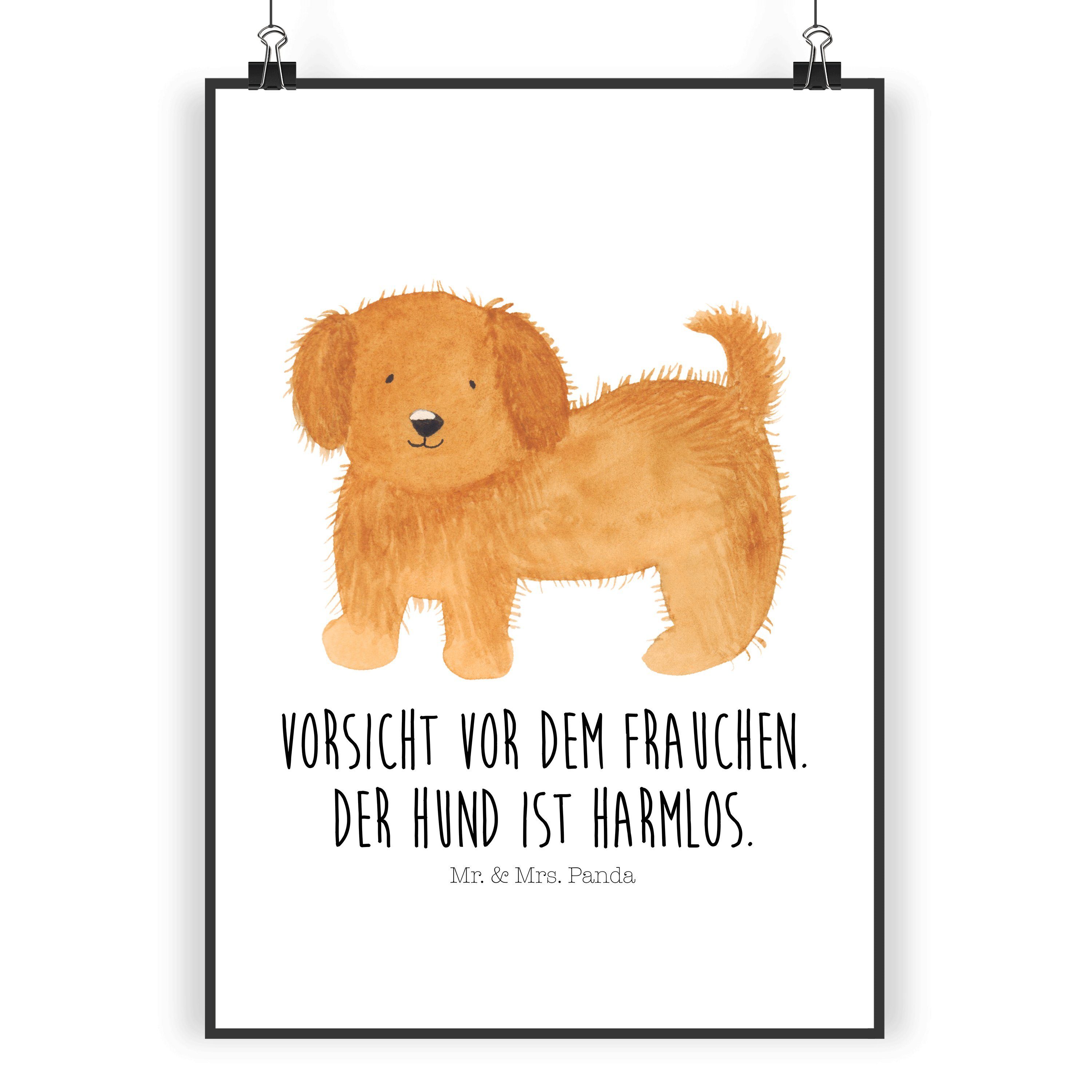 Poster DIN A5 Hund flauschig - Weiß - Geschenk, Sprüche, Vierbeiner, niedlic