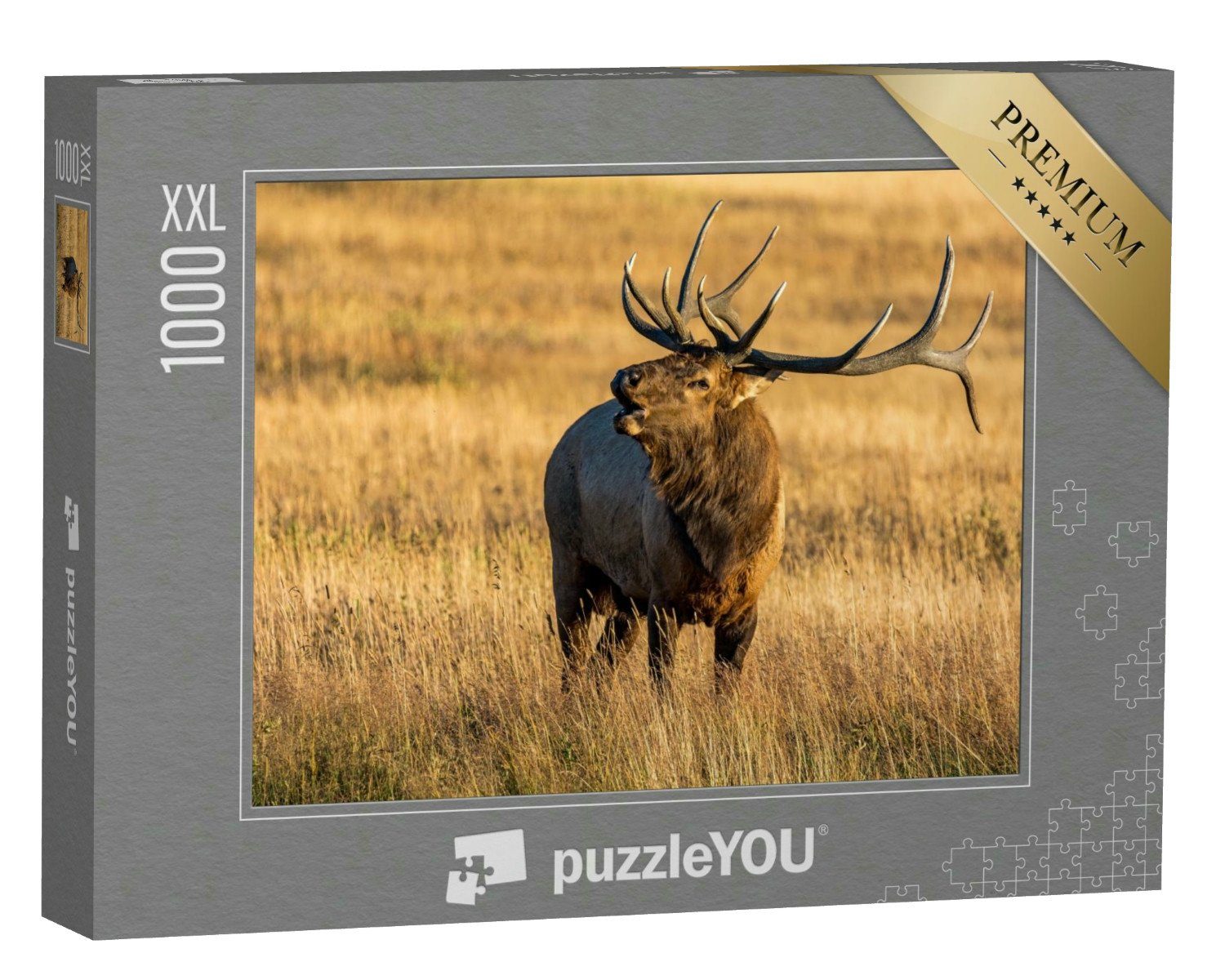 puzzleYOU Puzzle Elche im Rocky Mountain National Park, 1000 Puzzleteile, puzzleYOU-Kollektionen Elche, Tiere des Nordens