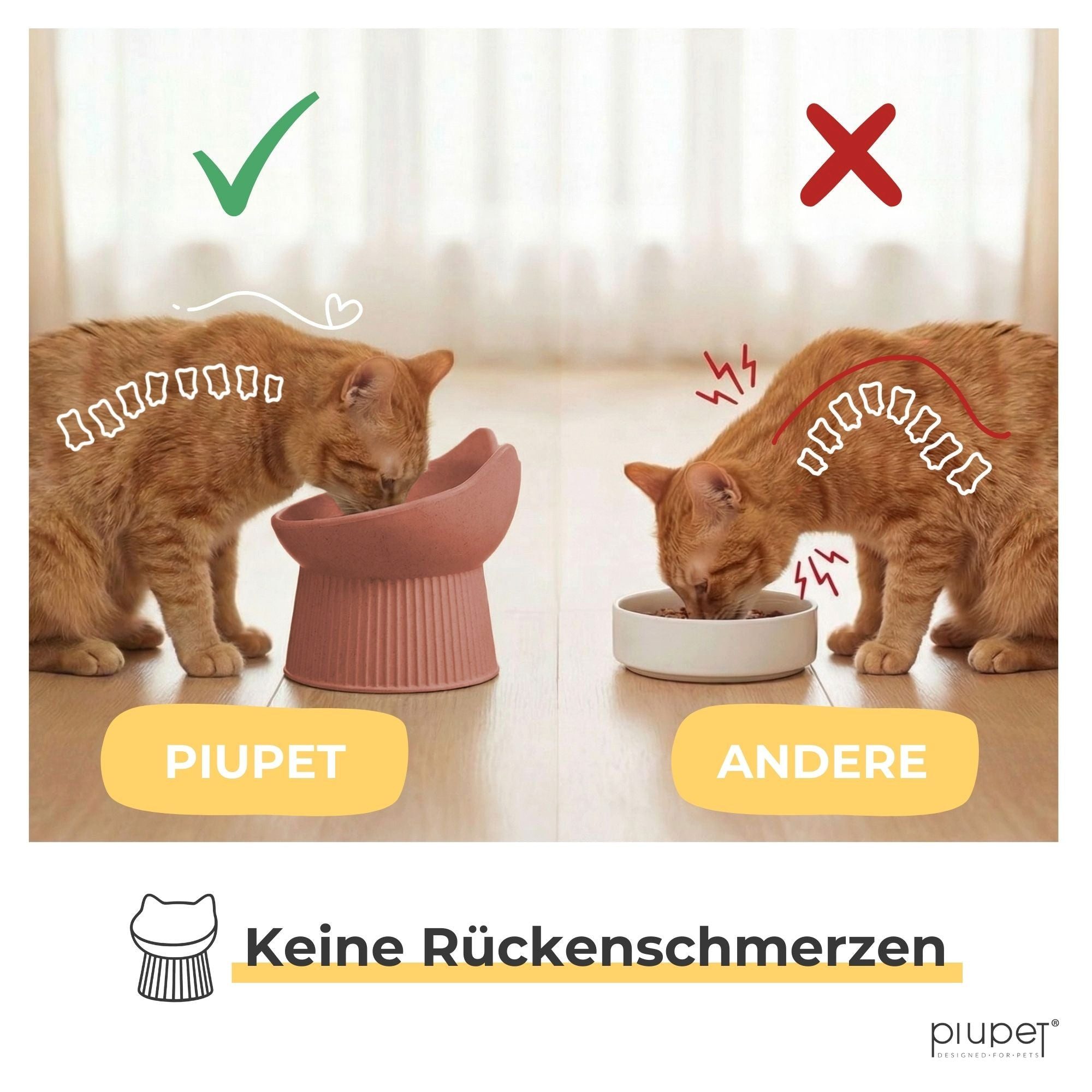 Piupet Napf Ergonomischer Futternapf Katze I schnurrhaar freundlich I rutschfest, 50 % Bambusfasern, 50 % recycelter Kunststoff, spülmaschinenfest