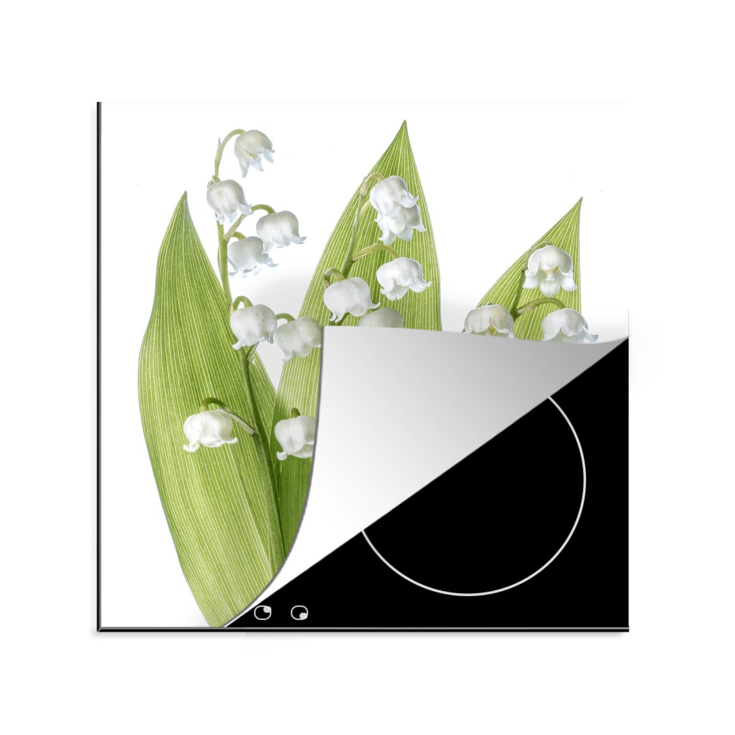 MuchoWow Herdblende-/Abdeckplatte von Porträt der Vinyl, Ein Lilie weißen Arbeitsplatte küche cm, 78x78 der Blüten (1 für Ceranfeldabdeckung, tlg), Dalen