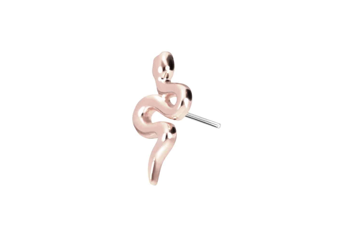 Piercing-Set 14 Karat Gold Aufsatz mit Titan Push Pin SCHLANGE