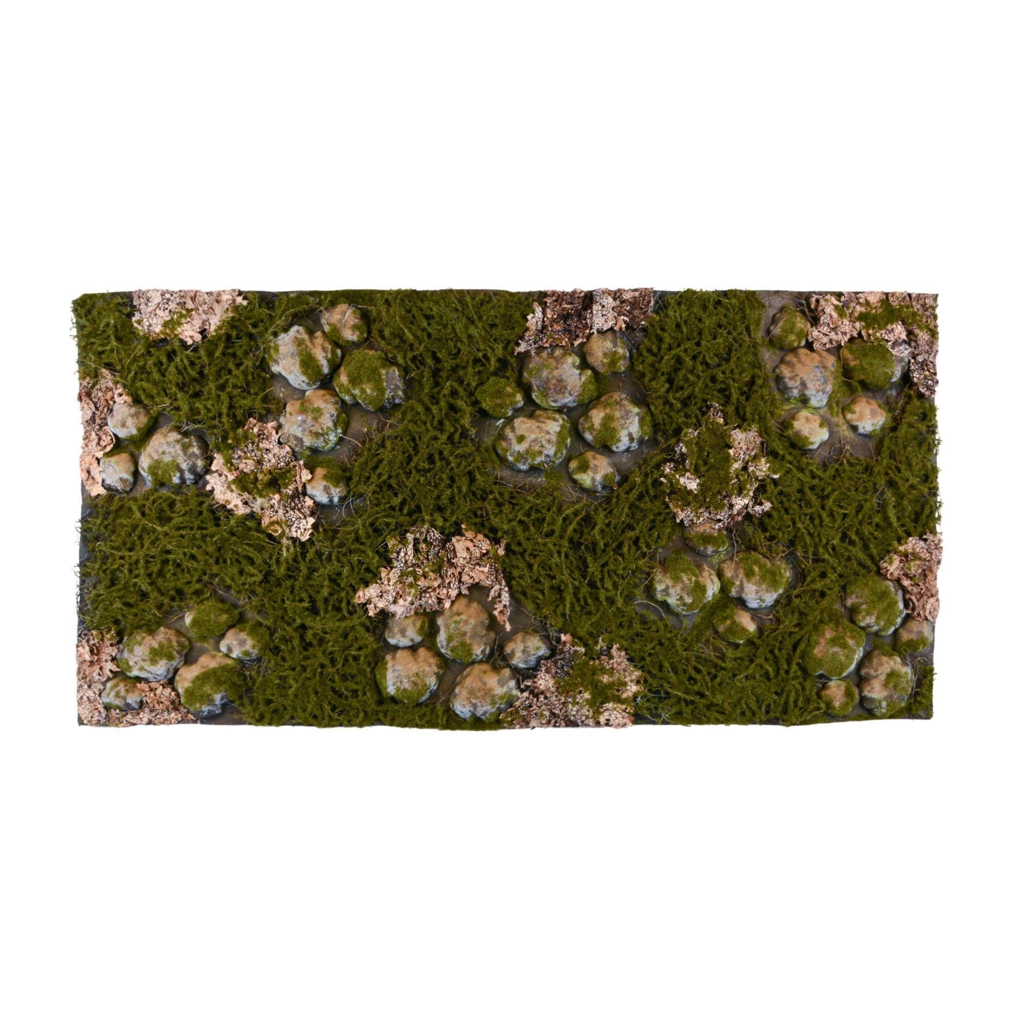 Terrarium Terrarium Rückwände für 120x60cm Terrarien