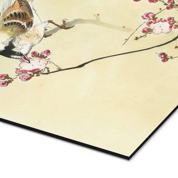 Posterlounge Alu-Dibond-Druck Ohara Koson, Kleiner Vogel und Blüten, Malerei