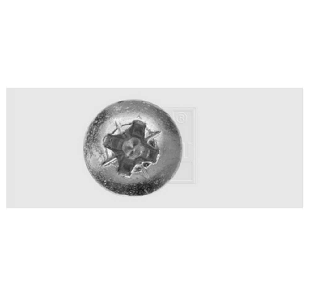 Thumbnail - SWG Schraube SWG 19643067 Holzschraube 4 mm 30 mm Kreuzschlitz Pozidriv Stahl v