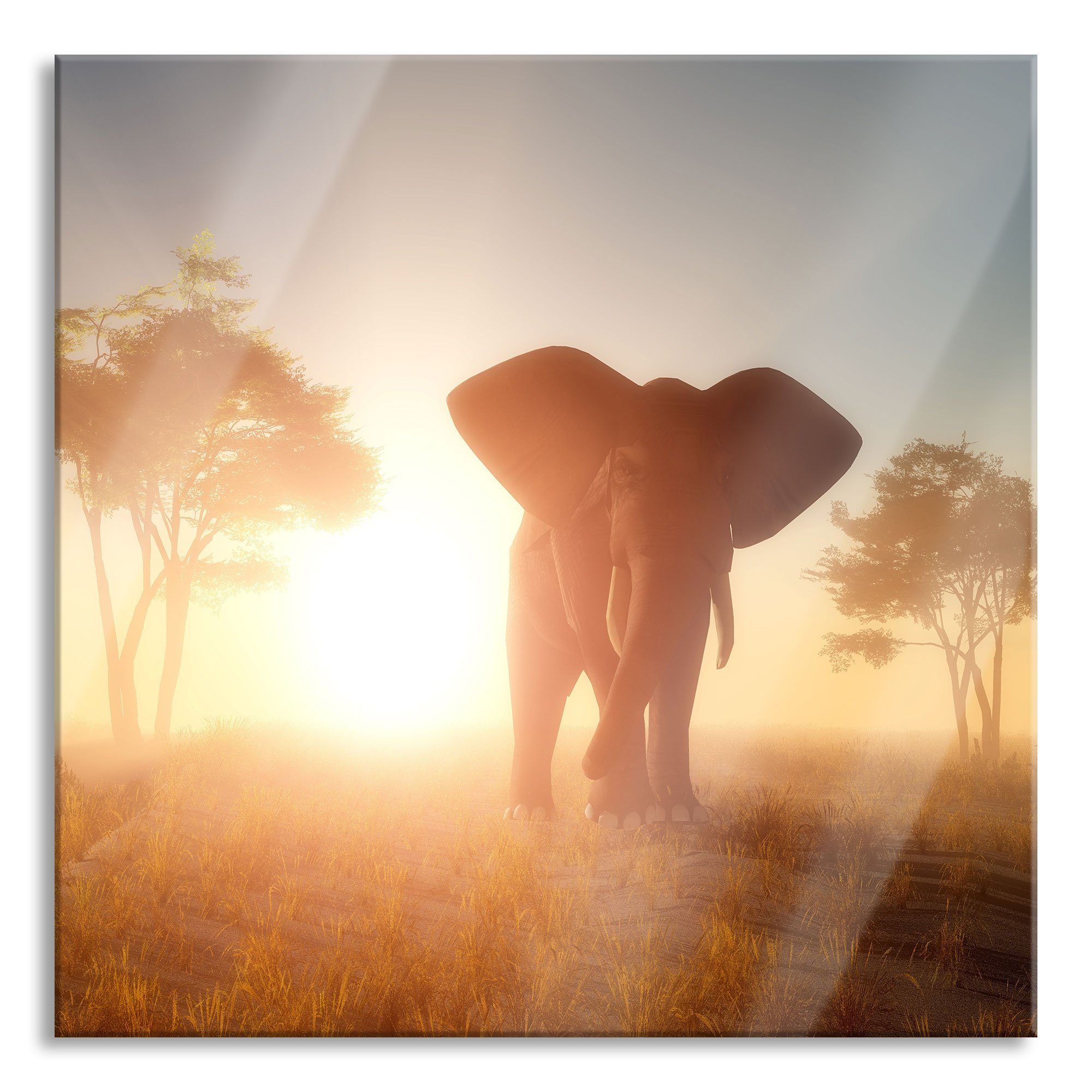 Glasbild Elefant in der Wüste