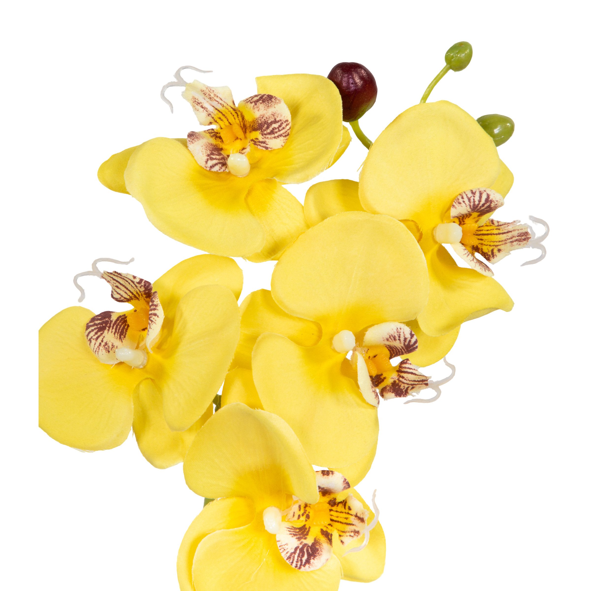Kunstblume Künstliche Orchidee 38cm im Topf LA Phalaenopsis mit Textilblüten, Seidenblumen Roß, Höhe 38,00 cm, Farbe: Gelb – Bild 4 von 5