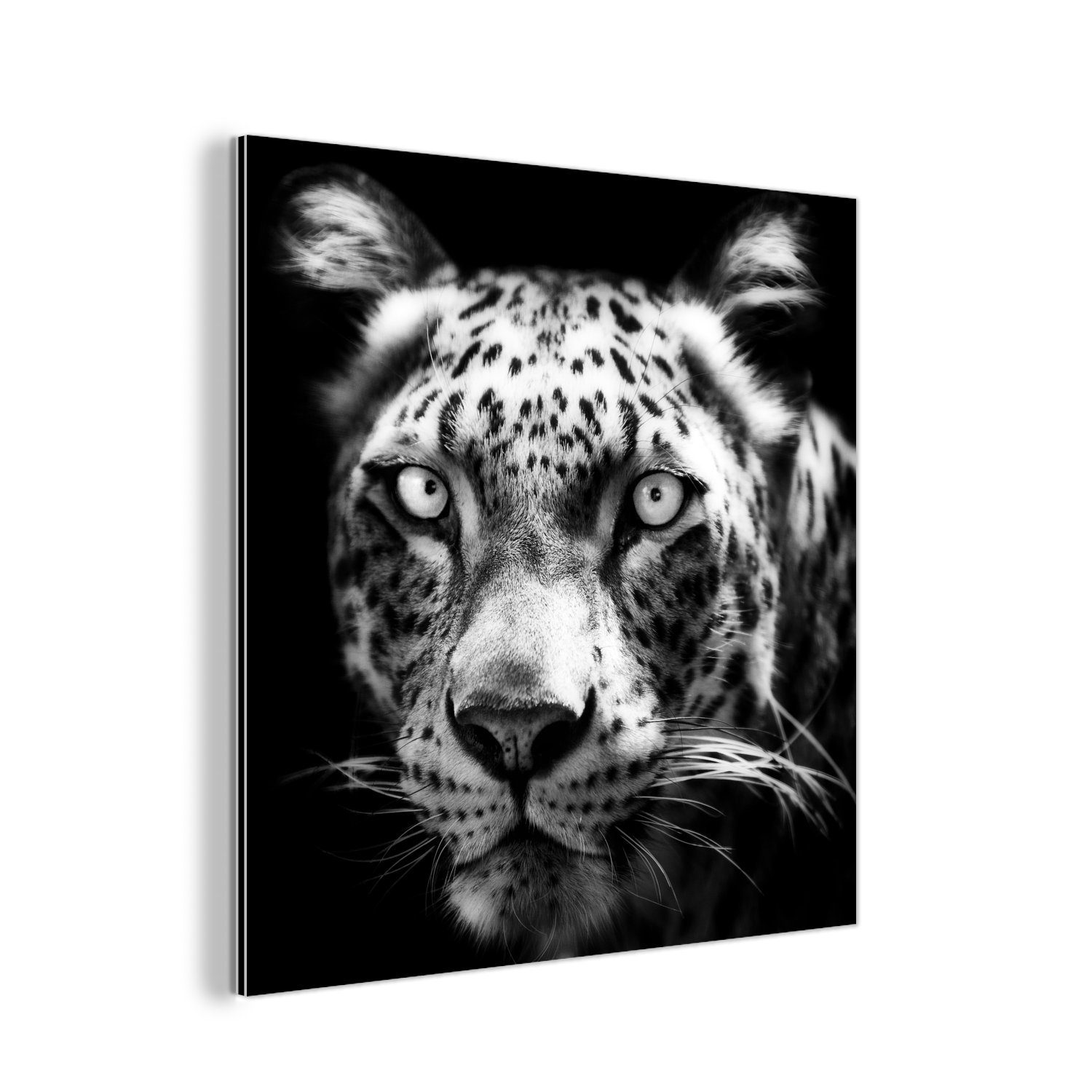 MuchoWow Metallbild Tierprofil Persischer Panther in schwarz und weiß, (1 St), Alu-Dibond-Druck, Gemälde aus Metall, Aluminium deko
