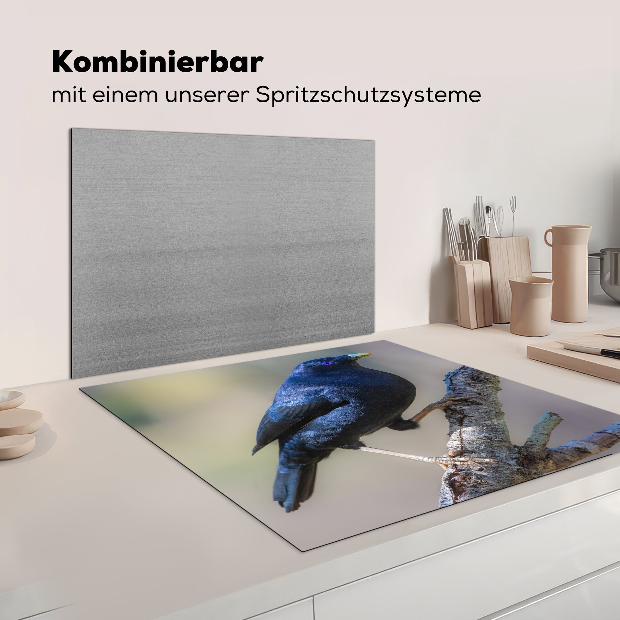 Blauer küche 78x78 Arbeitsplatte cm, tlg), Vinyl, MuchoWow Ceranfeldabdeckung, Zweig, Herdblende-/Abdeckplatte für (1 Laubenvogel einem auf