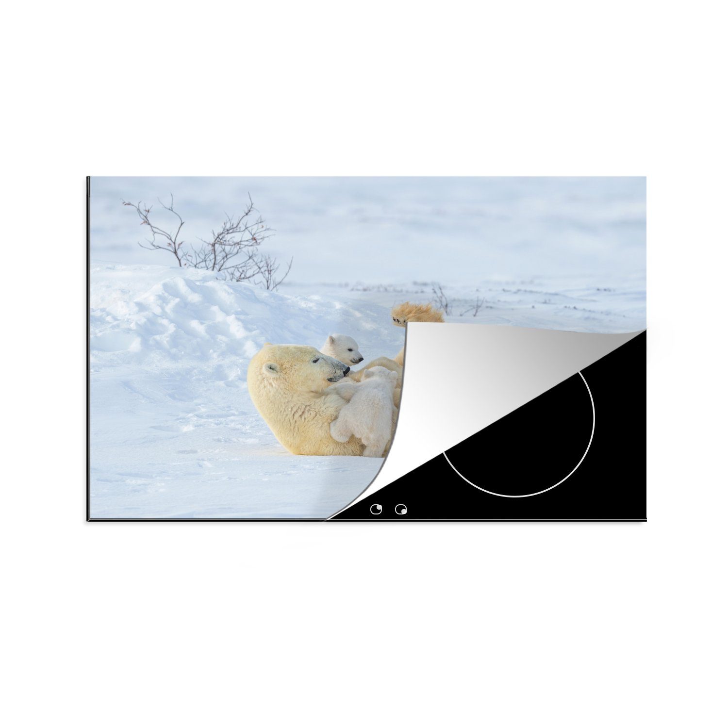 Vinyl, Schnee Tiere, cm, Induktionskochfeld Herdblende-/Abdeckplatte - Ceranfeldabdeckung tlg), MuchoWow die - küche, (1 Eisbär 81x52 für Schutz