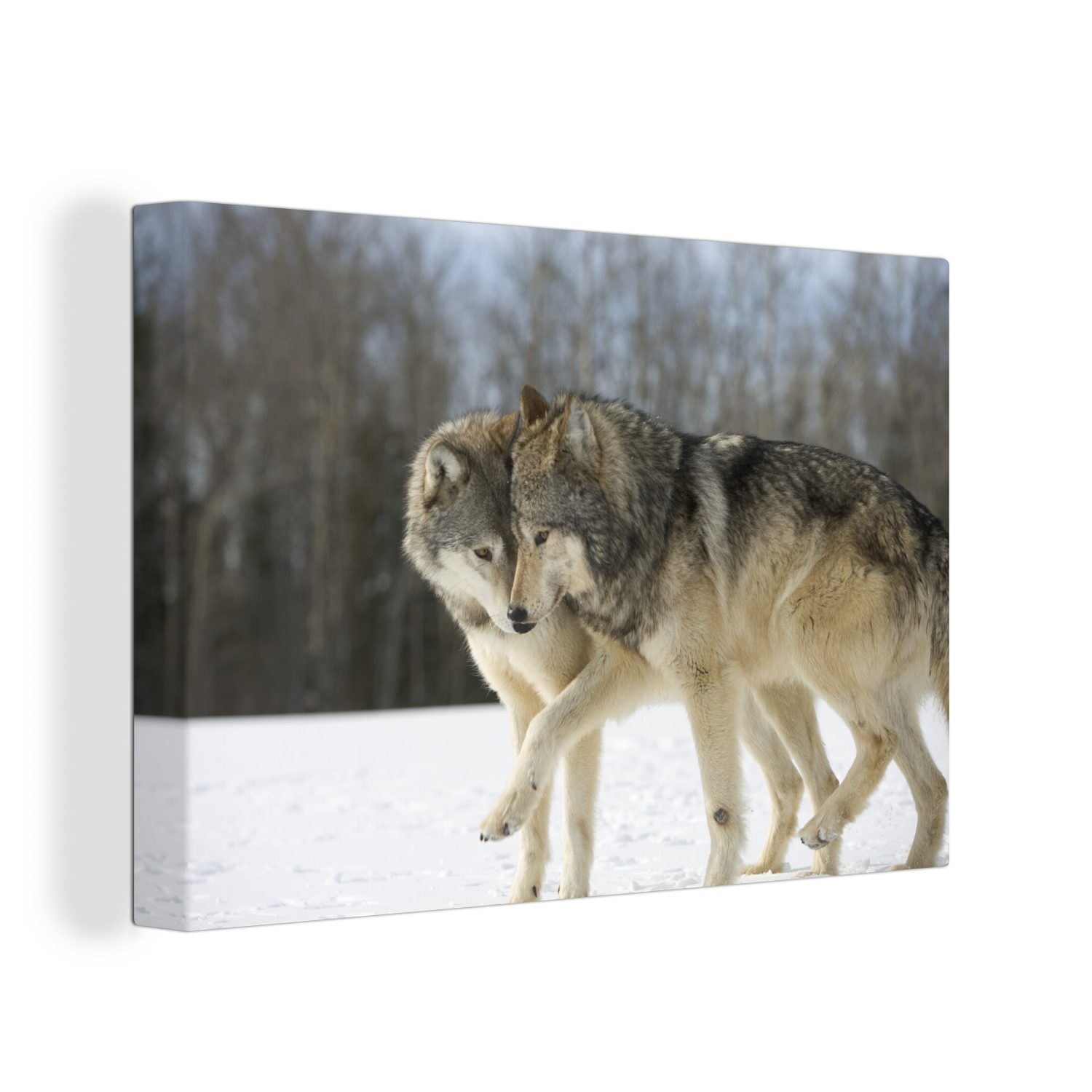 OneMillionCanvasses® Leinwandbild Wolf - Schnee - Mantel, Fotodruck (1 St), Leinwand Bilder Klein, Wand Dekoration Aesthetic 30x20 cm