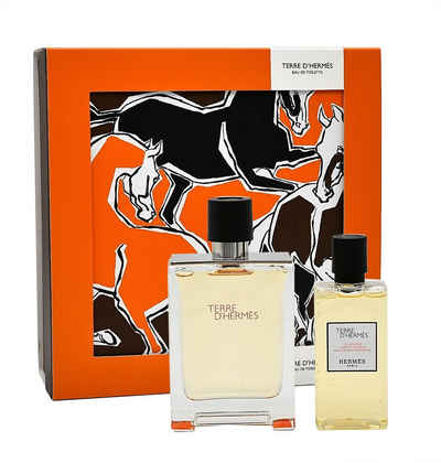 HERMÈS Duft-Set HERMÈS TERRE D'HERMES EDT 100ML + SHOWER GEL 80ML