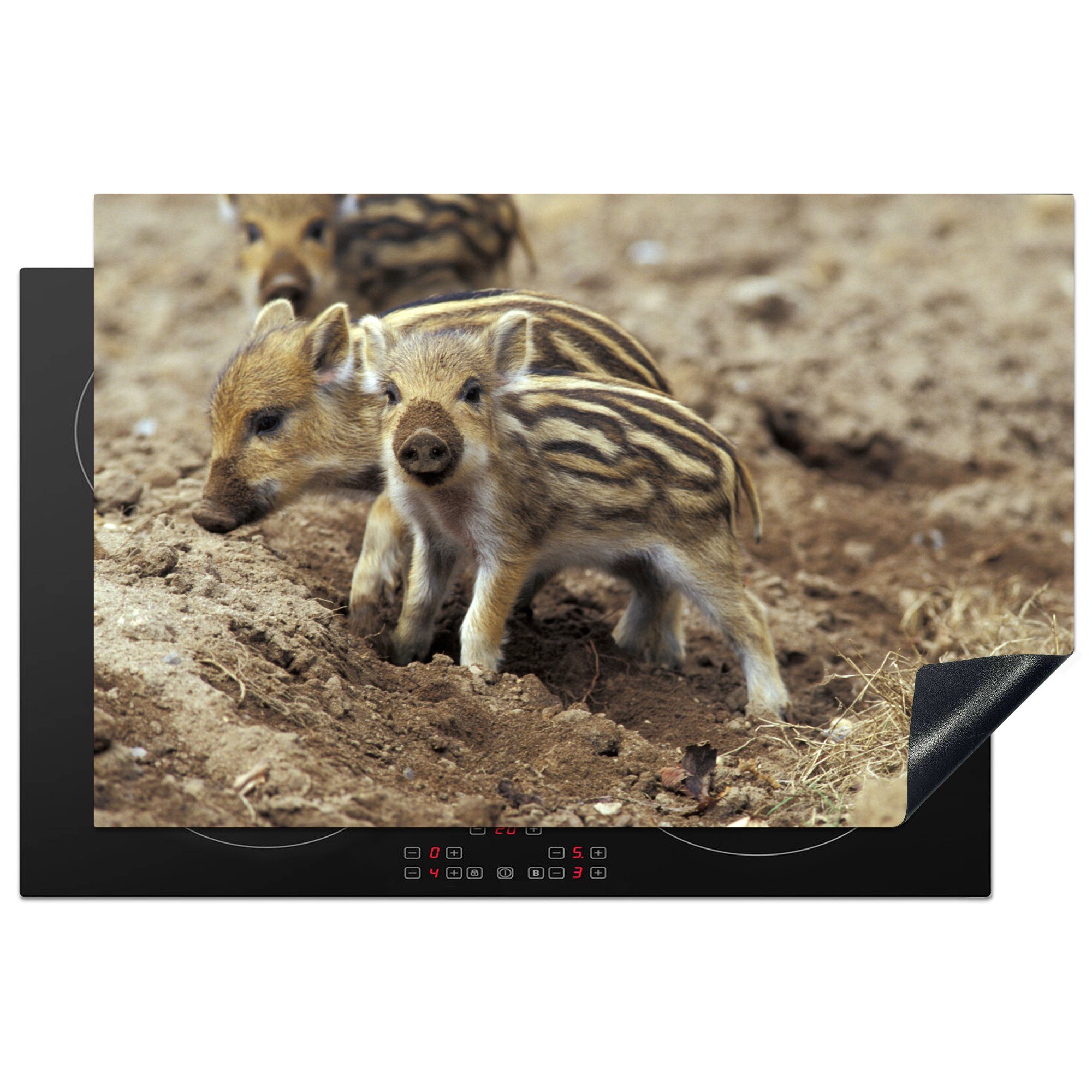 Herdblende-/Abdeckplatte 81x52 tlg), Induktionskochfeld cm, - die Schlamm Tier, MuchoWow - (1 küche, Vinyl, Ceranfeldabdeckung Schutz Wildschwein für