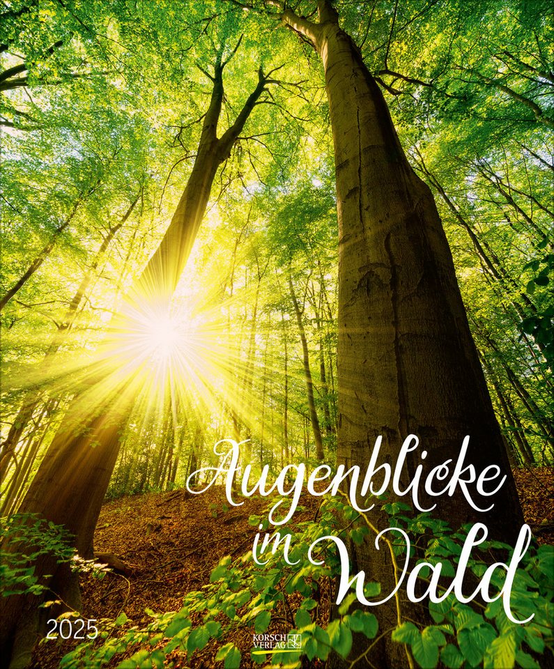 Korsch Verlag Naturkalender Korsch Verlag Kalender Augenblicke im Wald 2025
