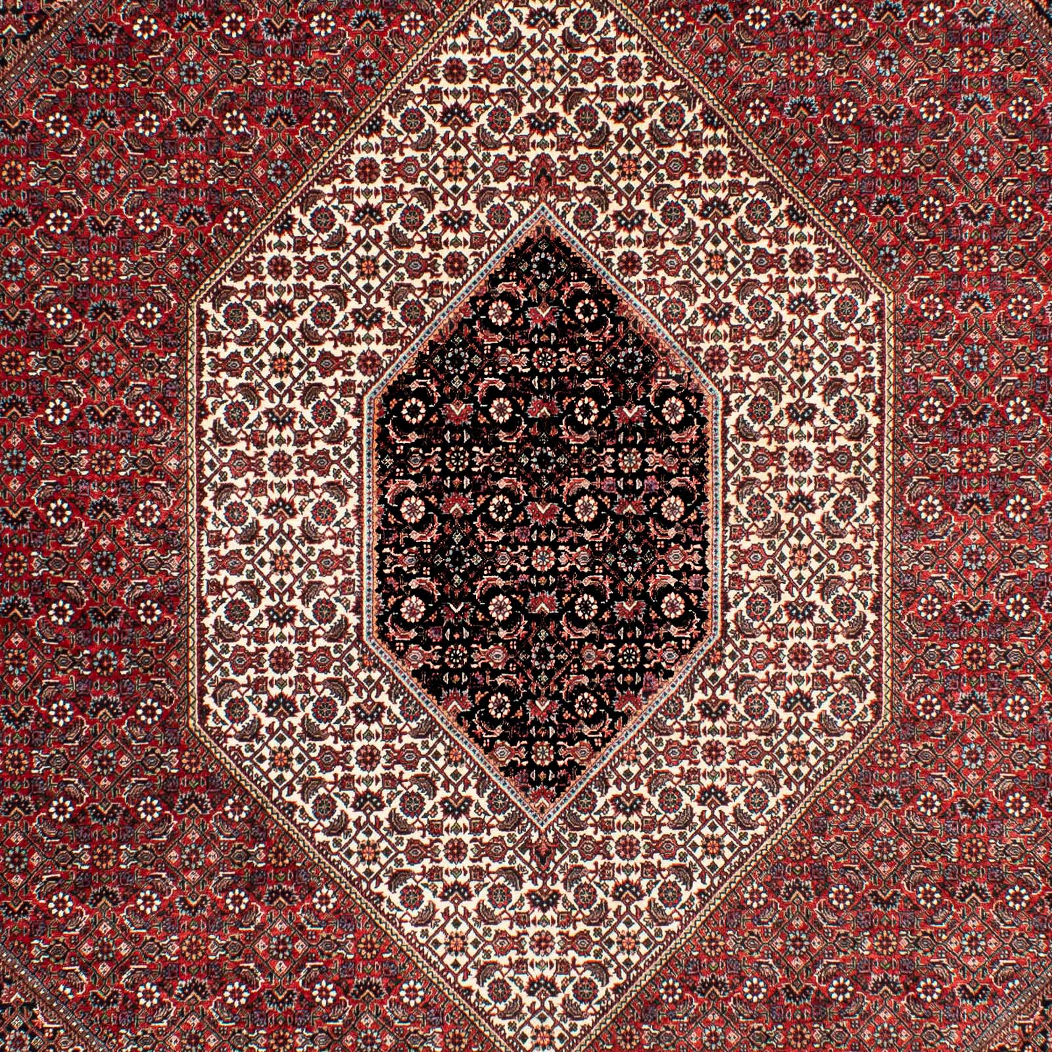 Orientteppich Perser mit morgenland, Wohnzimmer, Höhe: mm, x Handgeknüpft, 303 - 15 - rot, Bidjar - cm Einzelstück rechteckig, 203 Zertifikat