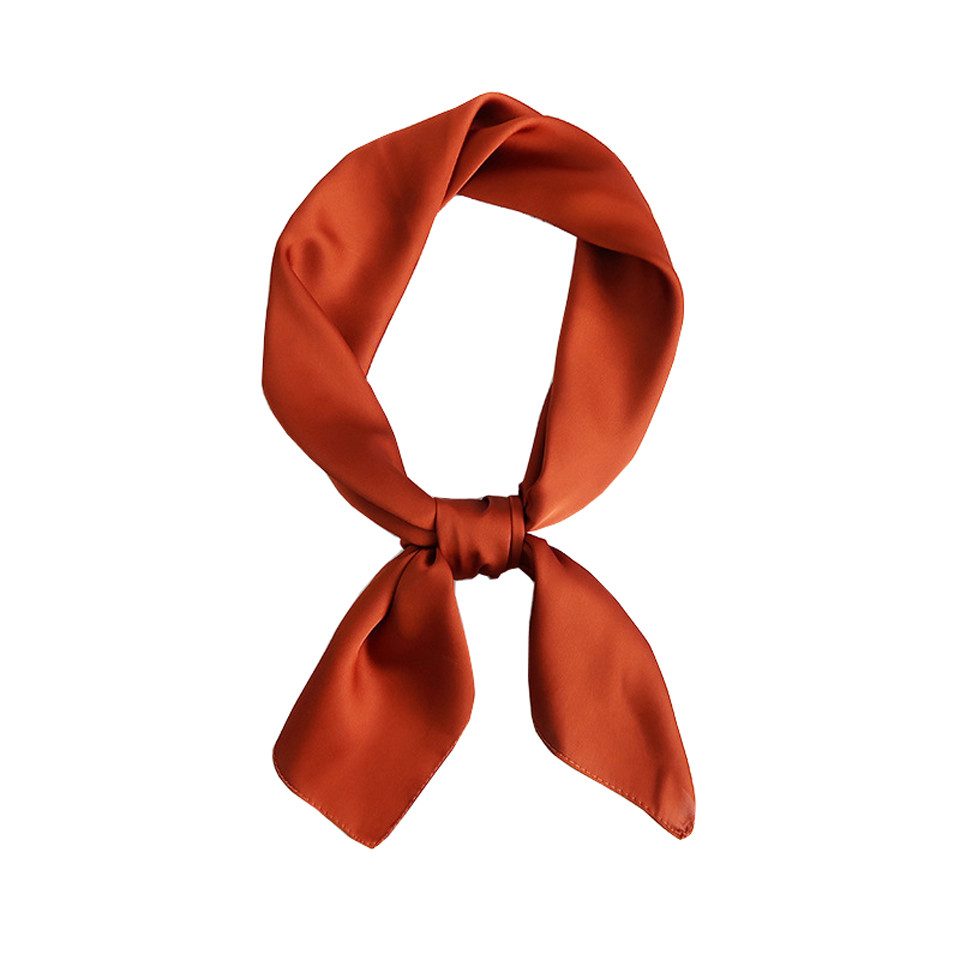 Zaewry Seidentuch Damen Seidentuch Leicht Seidenschal Bandana Halstuch Kopftuch, Elegante Schal Tuch Geschenk für Frauen