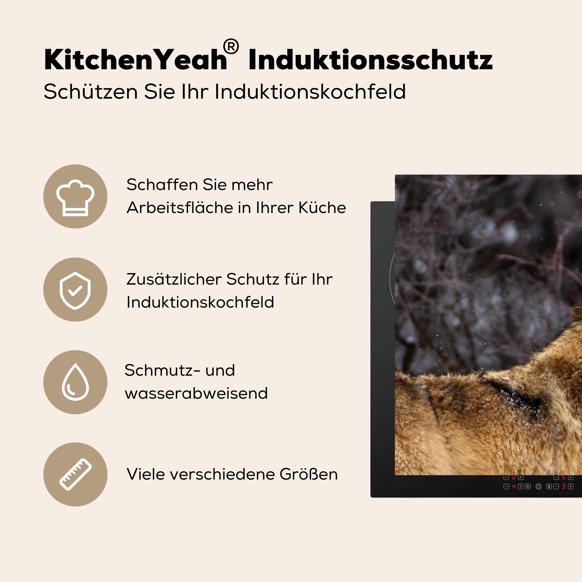 Schutz Wald, Induktionskochfeld cm, - - tlg), küche, MuchoWow die 81x52 Vinyl, Winter (1 Herdblende-/Abdeckplatte für Wolf Ceranfeldabdeckung