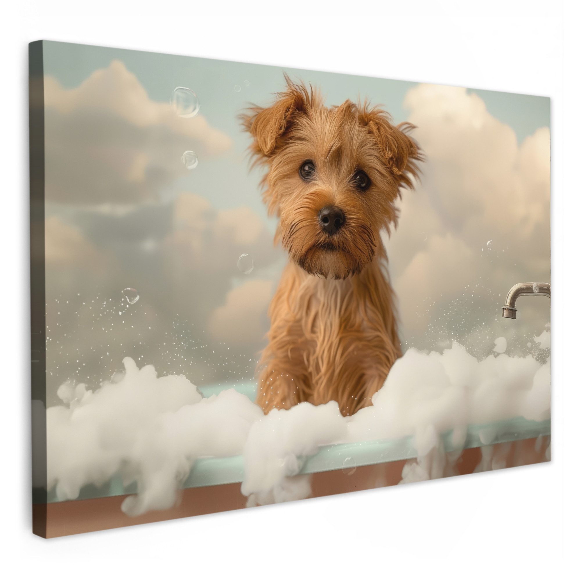 OneMillionCanvasses® Leinwandbild Hund - Bad - Tiere - Schaumstoff, Fotodru günstig online kaufen