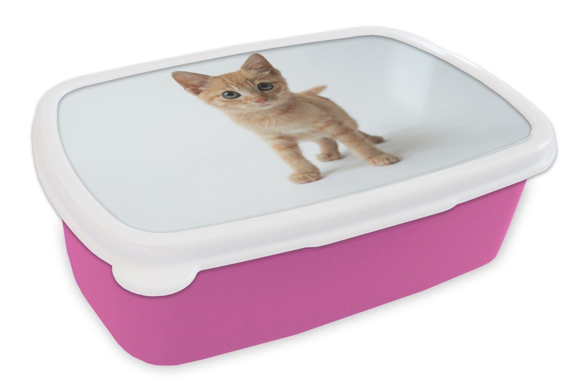 rosa Kunststoff Kunststoff, Kinder, Hintergrund, Brotbox Snackbox, Lunchbox eines Kätzchens weißen Mädchen, (2-tlg), für einem Brotdose Erwachsene, Nahaufnahme vor MuchoWow