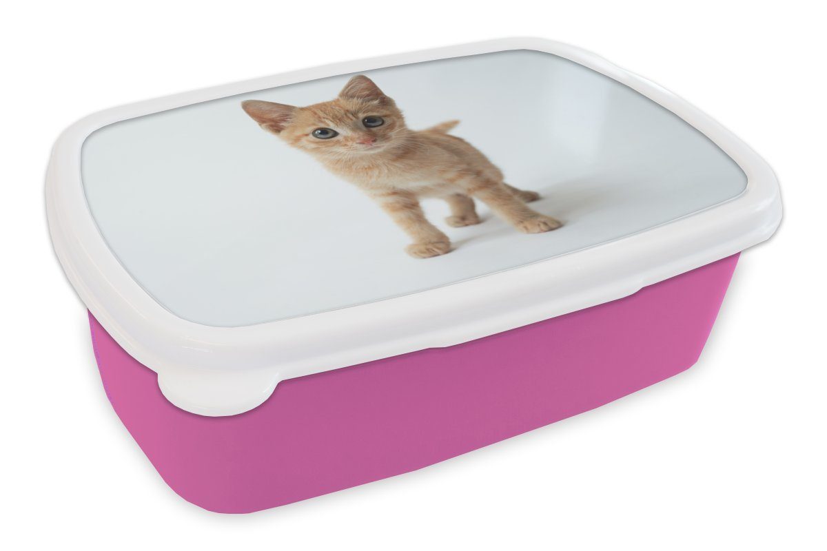 - - Kunststoff Rot Kunststoff, Erwachsene, MuchoWow Mädchen Mädchen, Brotdose - - Brotbox Kind, (2-tlg), Kinder Lunchbox Snackbox, rosa Kinder für - Katze Kätzchen - Kinder,