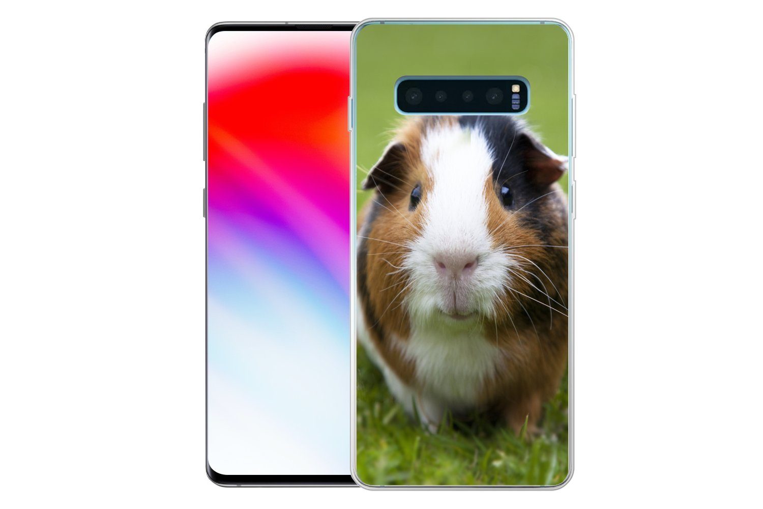 MuchoWow Handyhülle für Samsung Galaxy S10 Plus Zwei Meerschweinchen, Phone Case, Silikon, Schutzhülle Dünn