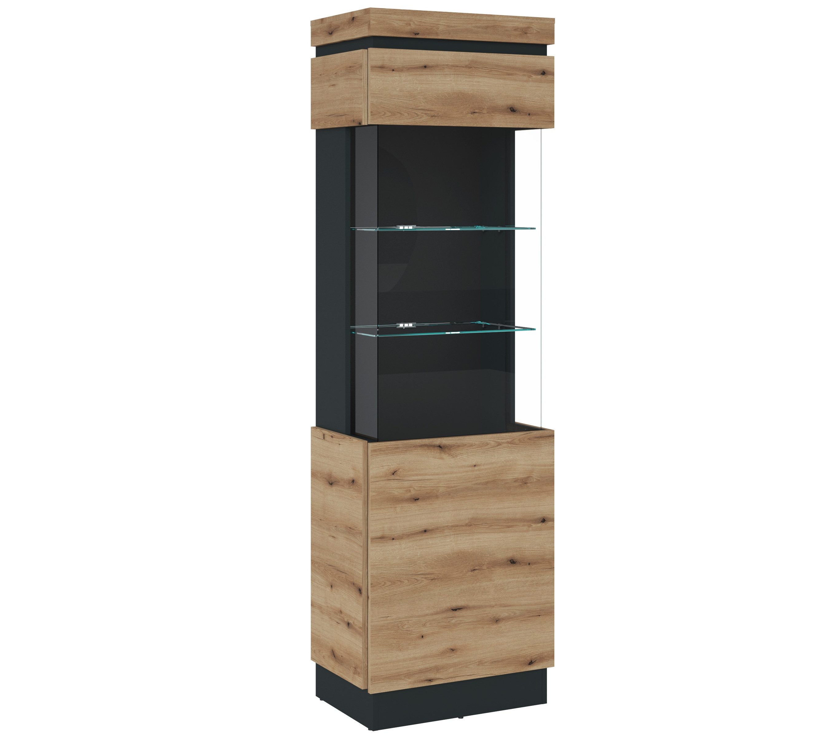 freiraum Glasvitrine CORTE in Coast Evoke Eiche Dekor/Kosmos Grau - 60x200,5x40 (BxHxT)