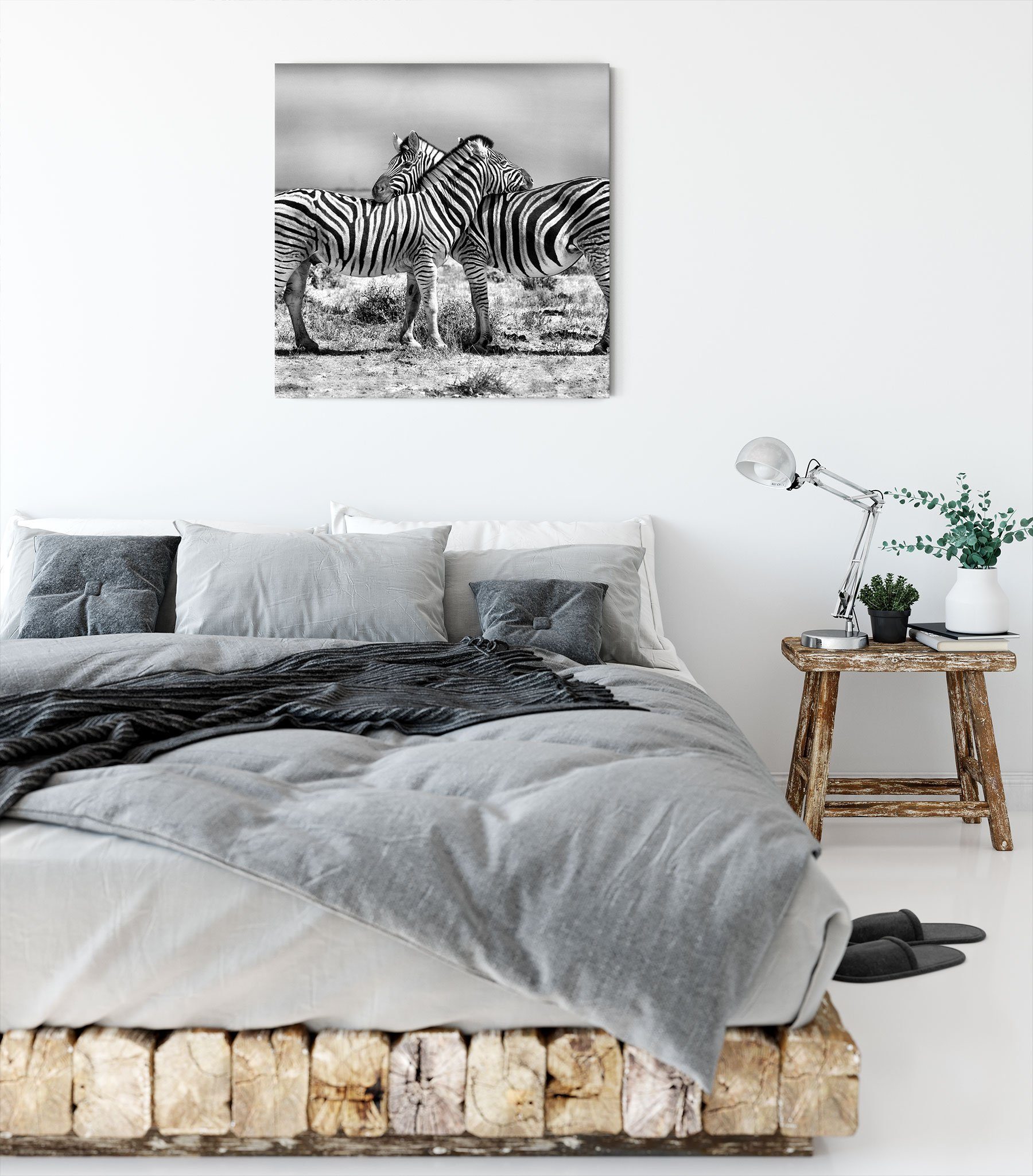 Leinwandbild Schmusende Schmusende (1 Pixxprint Leinwandbild St), bespannt, inkl. fertig Zebras Zackenaufhänger Zebras,