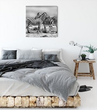 Pixxprint Leinwandbild Schmusende Zebras, Schmusende Zebras (1 St), Leinwandbild fertig bespannt, inkl. Zackenaufhänger