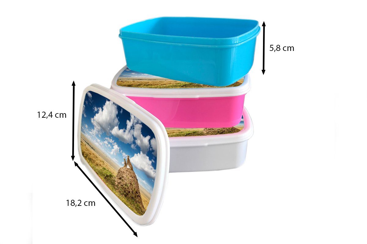 Brotbox Geparden Kunststoff, Kinder, Snackbox, - Mädchen, Erwachsene, Gras, rosa Steine (2-tlg), für MuchoWow - Lunchbox Brotdose Kunststoff