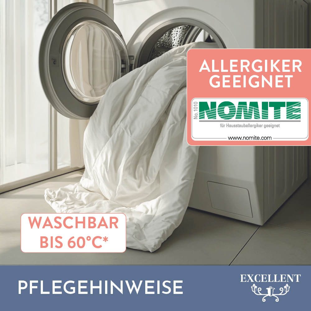 Excellent Daunenbettdecke + 3-Kammer-Kopfkissen Wien, Füllung: günstig online kaufen