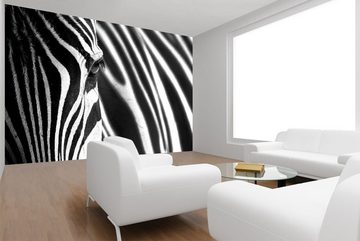 WandbilderXXL Fototapete Animal Stripes, glatt, Zebra, Vliestapete, hochwertiger Digitaldruck, in verschiedenen Größen