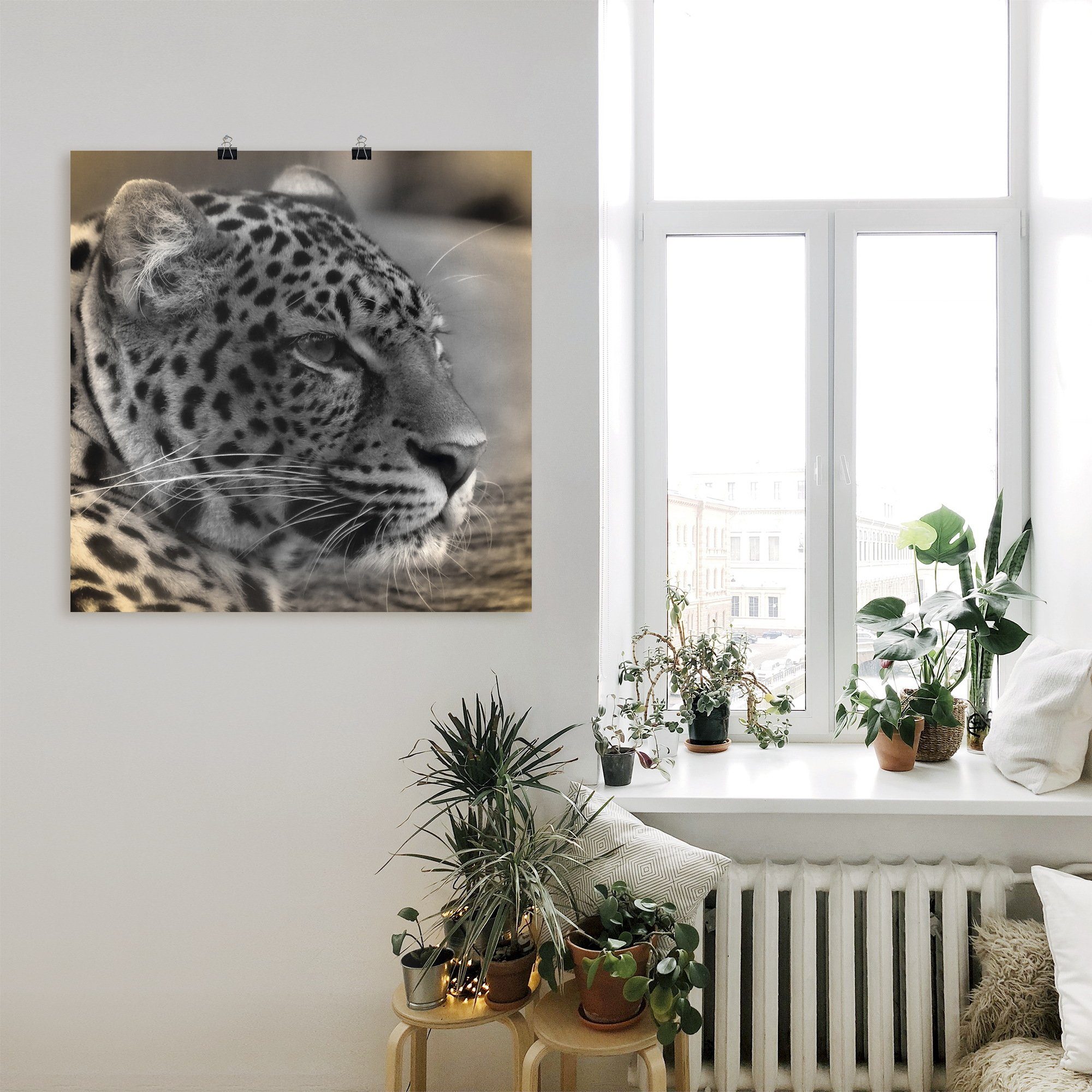 Artland Wandbild »Leopard Profil«, Wildtiere (1 Stück), in vielen Größen & Produktarten - Alubild / Outdoorbild für den Außenbereich, Leinwandbild, Poster, Wandaufkleber / Wandtattoo auch für Badezimmer geeignet-kaufen
