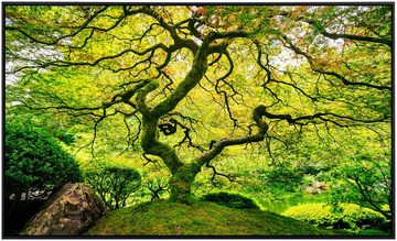 Papermoon Infrarotheizung Japanischer Ahornbaum, sehr angenehme Strahlungswärme