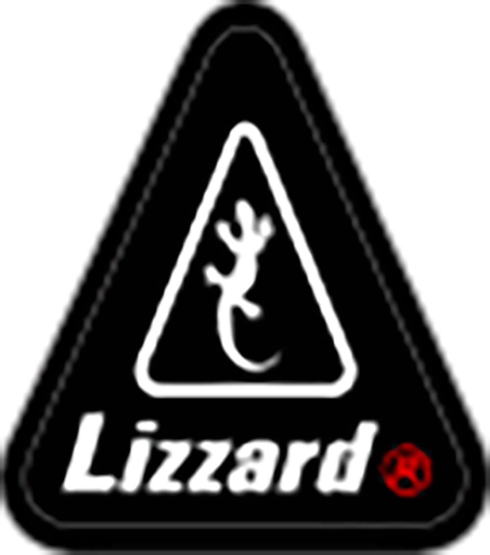 Lizzard Sports