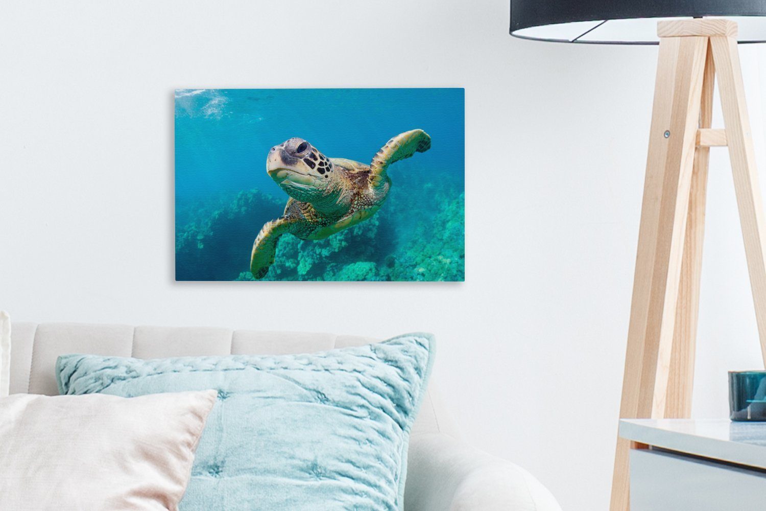 OneMillionCanvasses® Leinwandbild Eine (1 Wandbild Korallenriff Wanddeko, das Hawaii, 30x20 vor Aufhängefertig, durch Leinwandbilder, cm schwimmt Schildkröte St)
