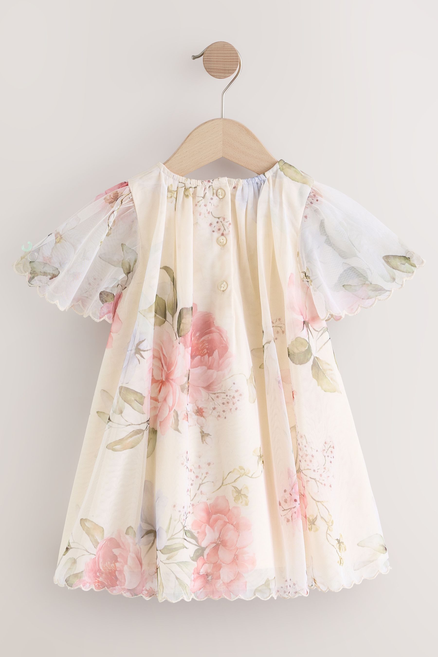 Next Partykleid Mesh-Partykleid mit kurzen Ärmeln günstig online kaufen