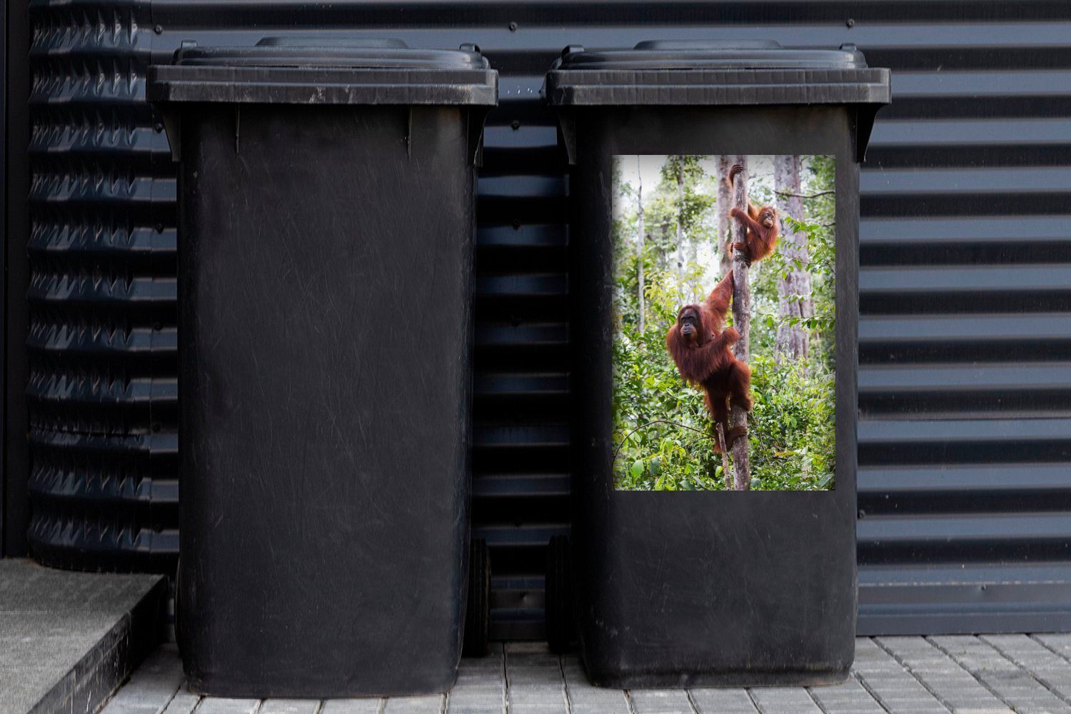 MuchoWow Wandsticker Orang-Utan (1 Sticker, Mülltonne, Tanjung-Puting-Nationalpark, Borneo Container, und Mülleimer-aufkleber, im St), Abfalbehälter Kind