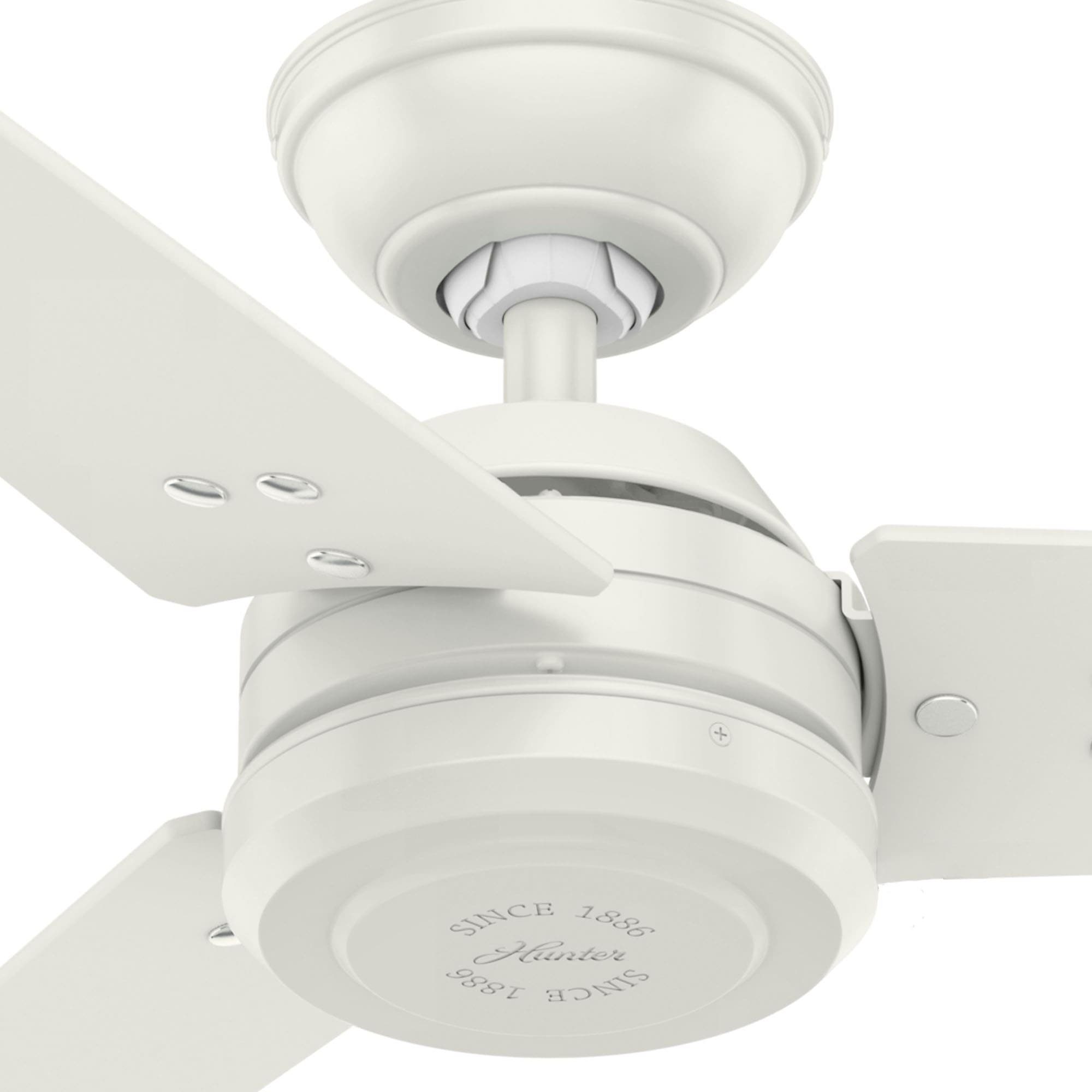 Hunter Deckenventilator Deckenventilator Protos Weiß 132 cm mit Wandschalter
