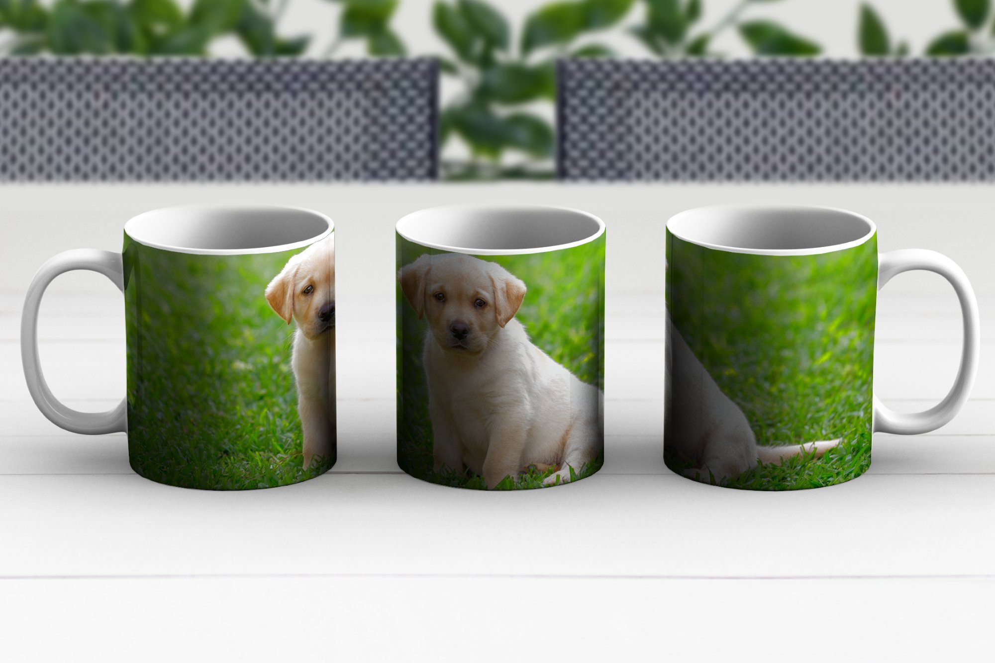 MuchoWow Tasse Kaffeetassen, sitzt Geschenk Teetasse, Becher, Gras, im Teetasse, Welpe Keramik