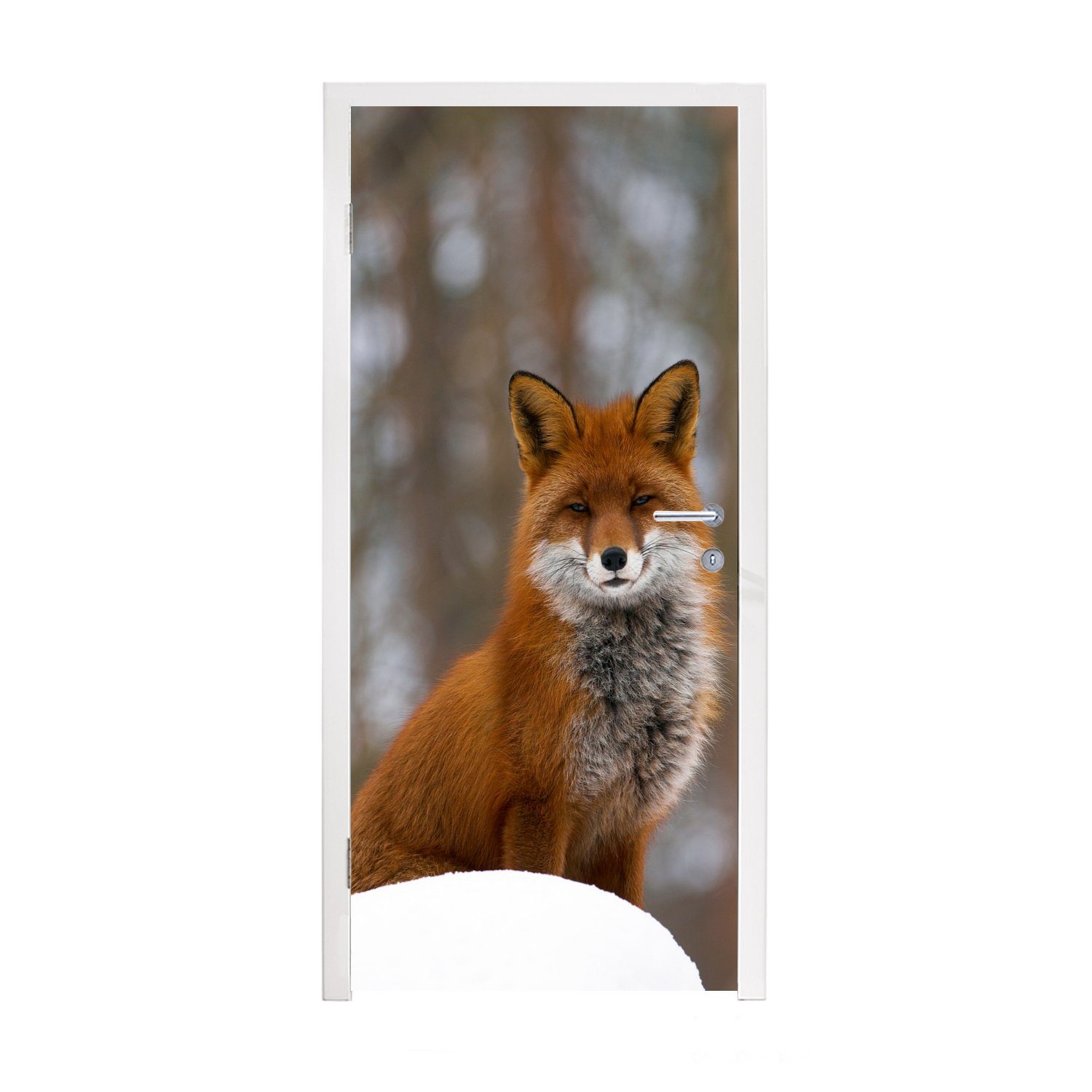 MuchoWow Türtapete Fuchs - Wald - Rot, Matt, bedruckt, (1 St), Fototapete für Tür, Türaufkleber, 75x205 cm