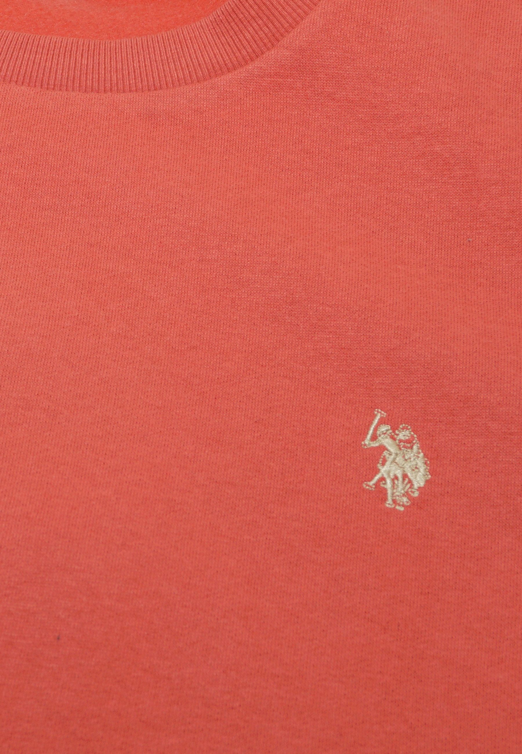 U.S. Polo Assn. Sweatshirt Shirt Sweatshirt (1-tlg)