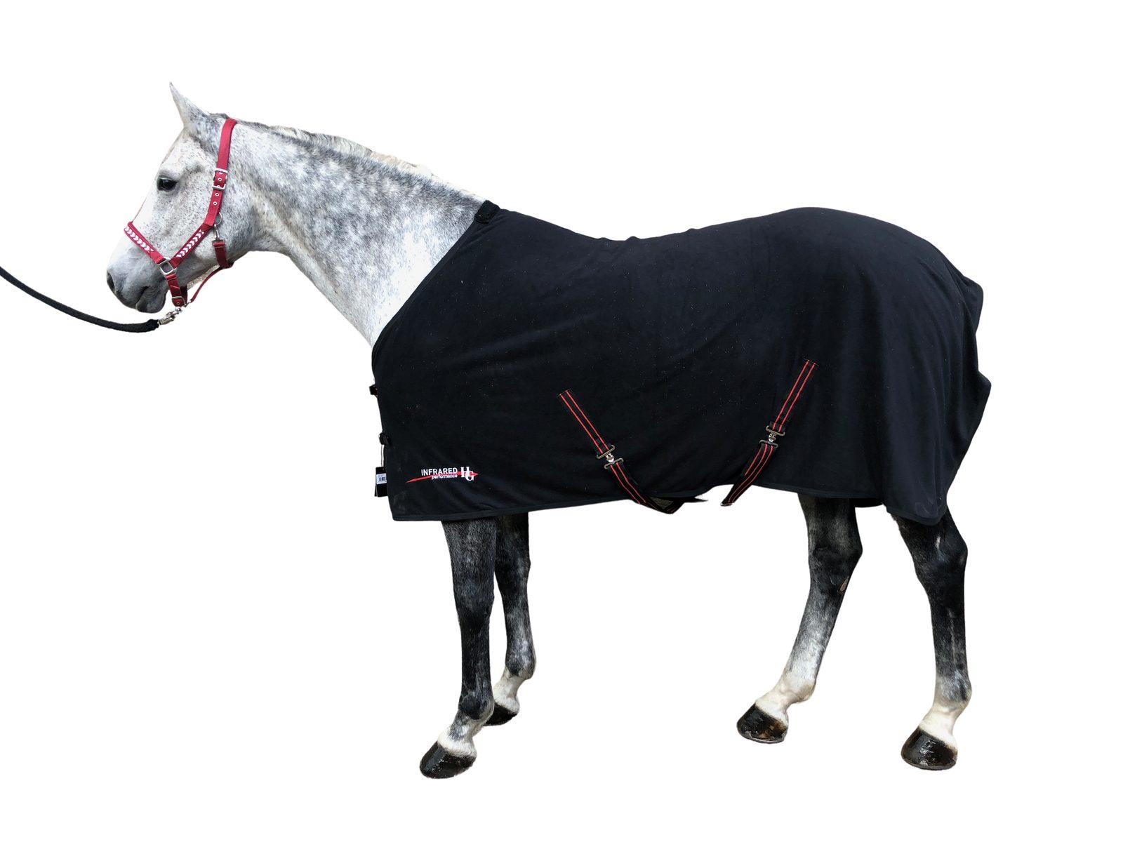Pferde-Nierendecke Horse Guard Infrarot Fleecedecke Pferde Abschwitzdecke schwarz