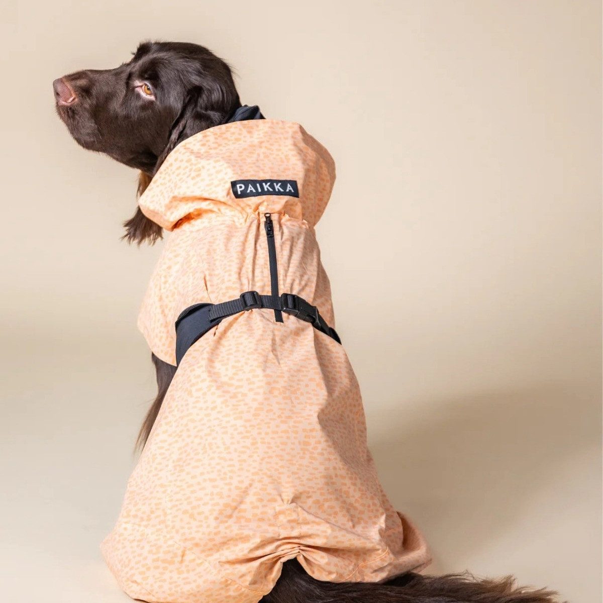 PAIKKA Hunderegenmantel Hunde Regenmantel "Raincoat" 2.0 pfirsich