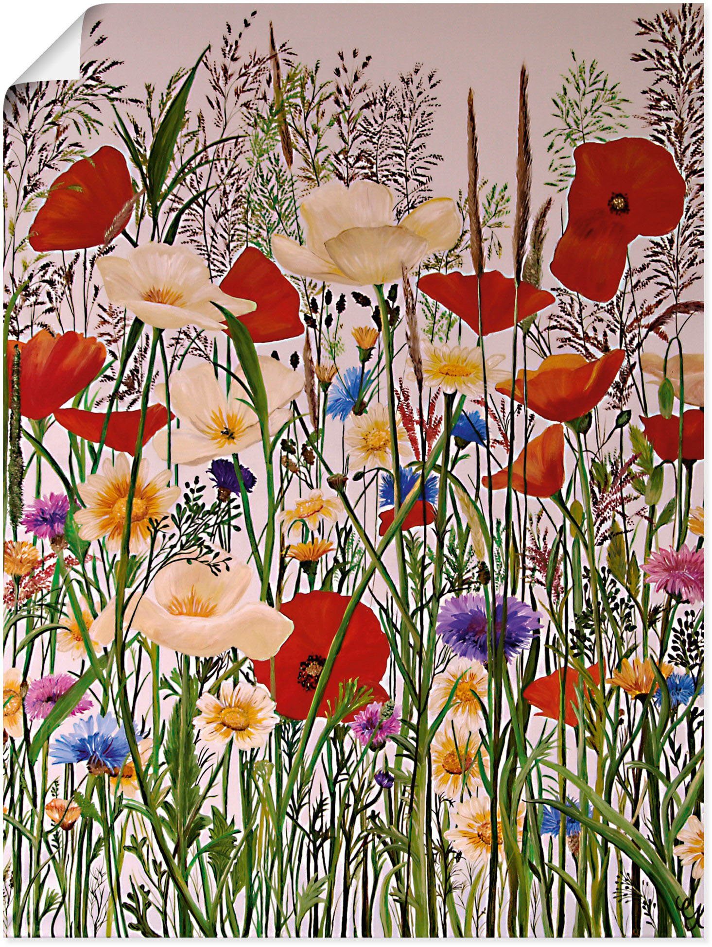 St), oder Baumbilder Größen in Wandaufkleber Wandbild Blumenwiese, Artland (1 Alubild, als versch. Poster Leinwandbild,