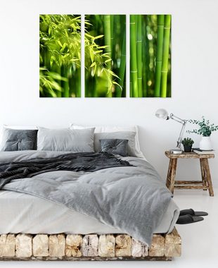 Pixxprint Leinwandbild Bambus mit Blättern, Bambus mit Blättern 3Teiler (120x80cm) (1 St), Leinwandbild fertig bespannt, inkl. Zackenaufhänger