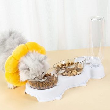 Lubgitsr Futterspender Katzennapf-Set 15° Neigbar Doppelter Futternapf für Nass-Trockenfutter