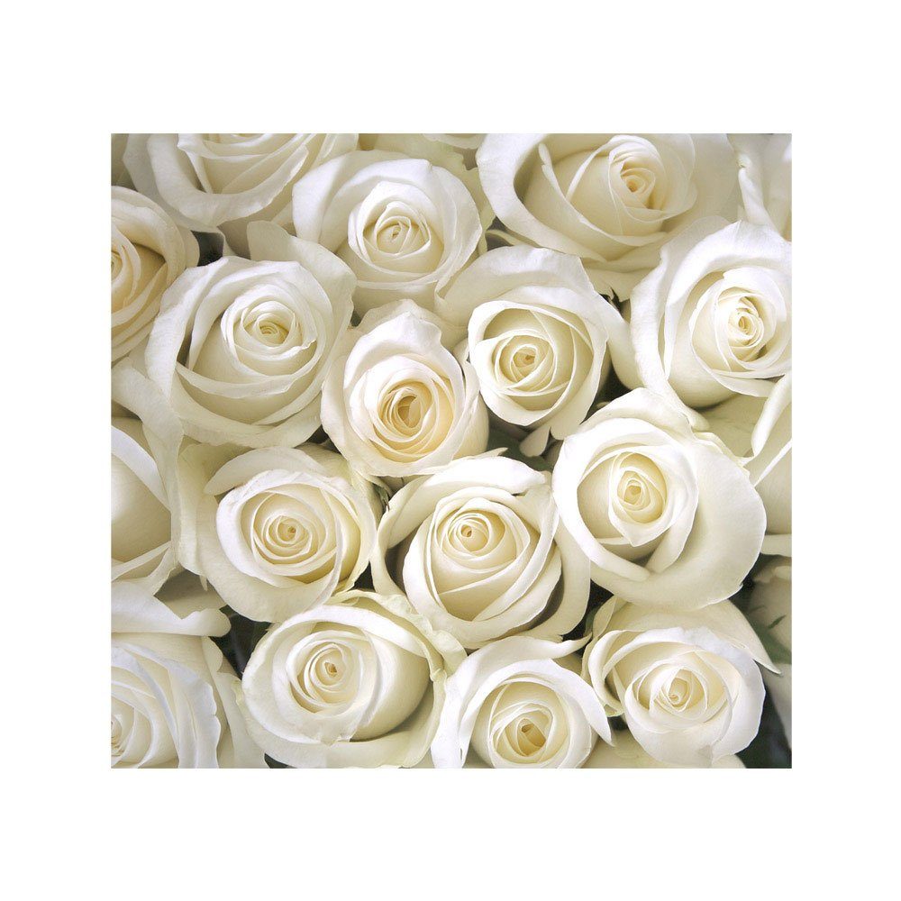 Blüten 184, Fototapete no. Blüte liwwing Weiß Natur liwwing Blumen Rose Liebe Fototapete Blumen Love