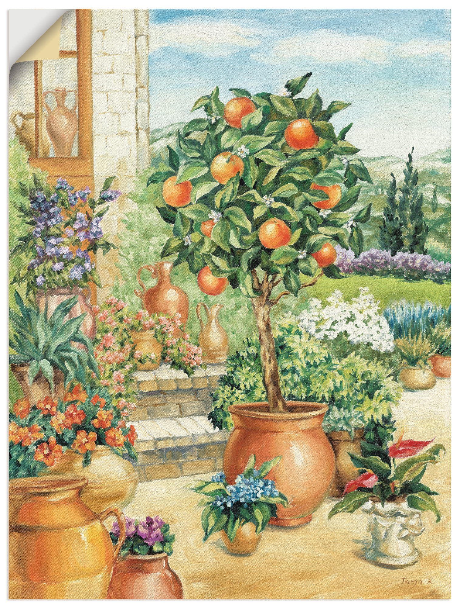 Artland Wandbild Orangenbaum im Garten, Garten (1 St), als Alubild, Leinwandbild, Wandaufkleber oder Poster in versch. Größen
