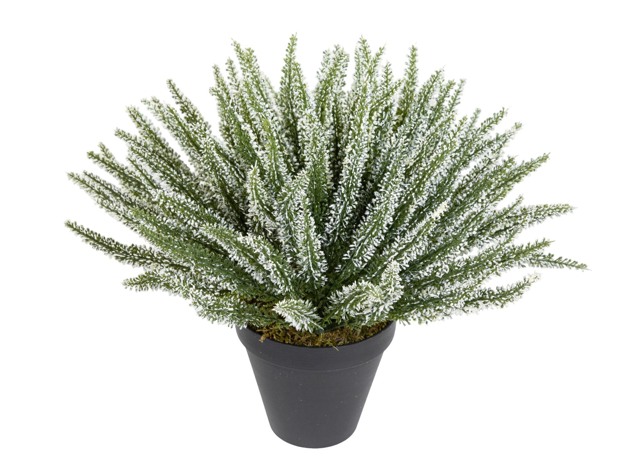 Kunstblume Großes Erika / Heidekraut 42x36cm günstig online kaufen