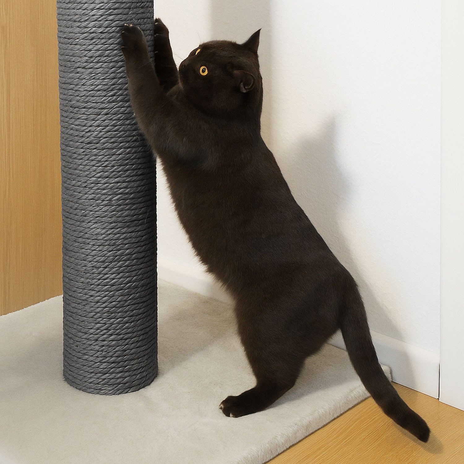 eyepower Ersatz-Kratzbaumstamm Ersatzsäule - 15 cm Sisalstamm für Katzenkratzbaum - Ersatzstamm M8, Ø 7,4 cm dicke Sisalsäule - Katzenbaum Ersatzteil - Sisal Kratzstamm