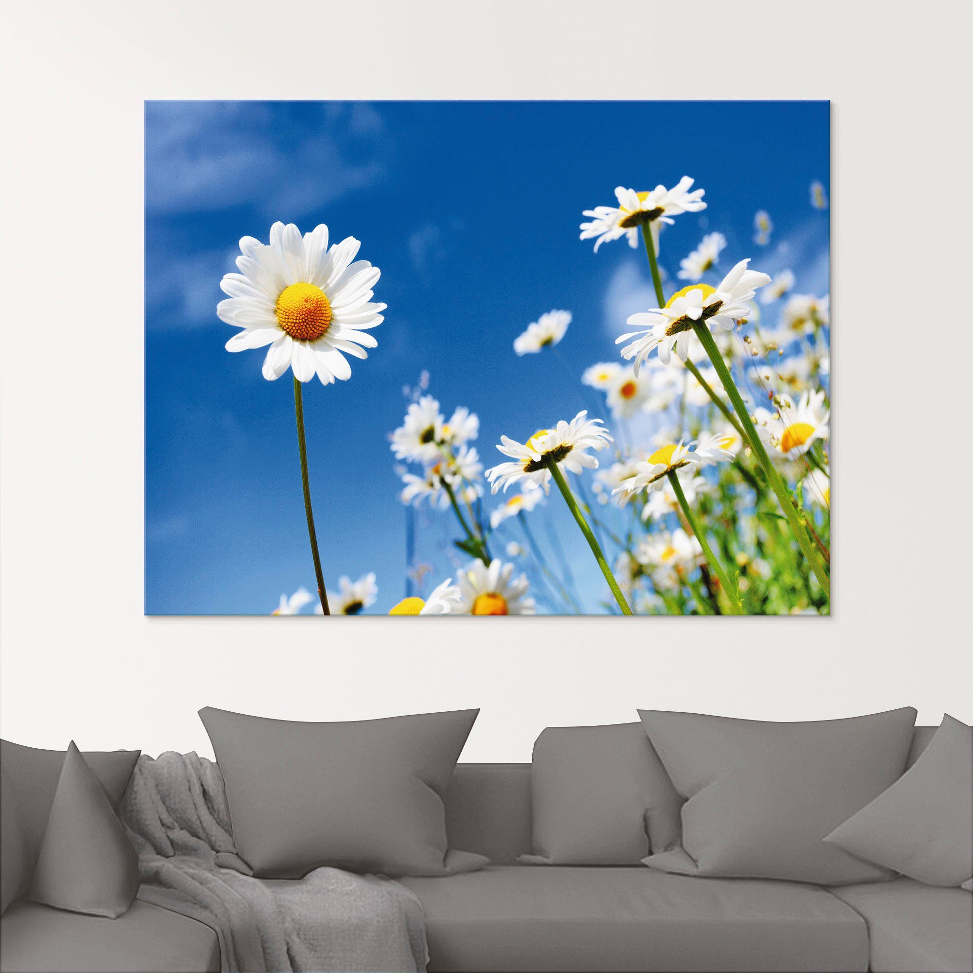 Artland Glasbild Gänseblümchen, Blumenwiese (1 St), in verschiedenen Größen